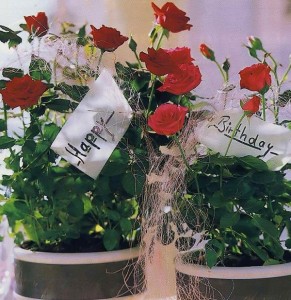 róże na prezent