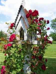 kapliczka w uprawie róż pnących