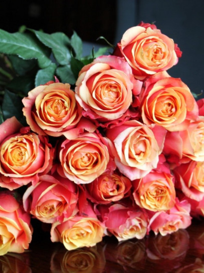 CHERRY BRANDY wielkokwiatowa róża