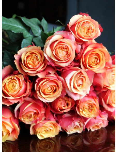 CHERRY BRANDY wielkokwiatowa róża