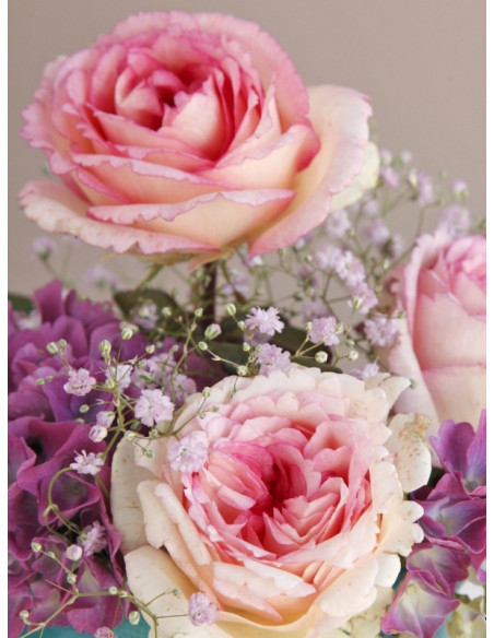 SOUVENIR DE BADEN - BADEN wielkokwiatowa róża