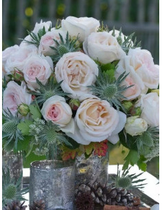 MADAME ANISETTE® róża wielkokwiatowa 2