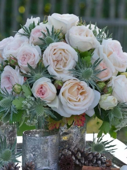 MADAME ANISETTE® wielkokwiatowa róża