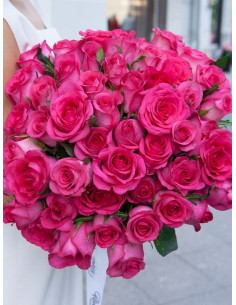 CHERRY LADY® róża wielkokwiatowa