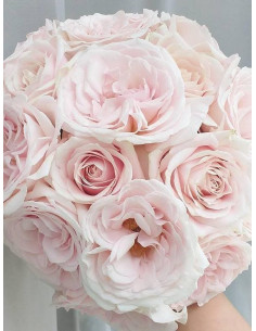 PRINCE JARDINIER róża wielkokwiatowa 2