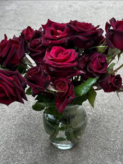 Róża wielkokwiatowa BLACK BACCARA®