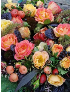 Róża miniaturowa Little Sunset®