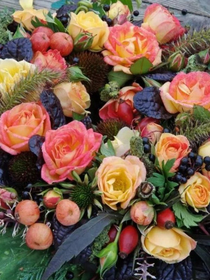 Róża miniaturowa Little Sunset®