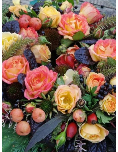 Róża miniaturowa Little Sunset®