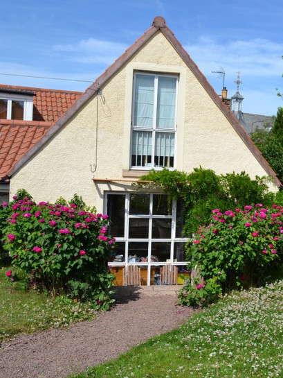 Rose de Resht róże historyczne