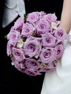 niebieskie róże wielkokwiatowe Mainzer Fastnacht