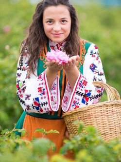 historyczne róże damasceńskie Kazanlik 2