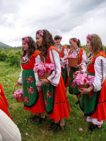 Kazanlik historyczne damasceńskie róże