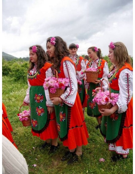 Kazanlik historyczne damasceńskie róże