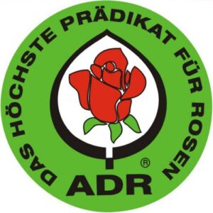 choroby róż a zabiegi pielęgnacyjne certyfikat ADR