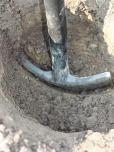 dno dołka spulchniamy aby korzenie swobodnie przerastały podłoże