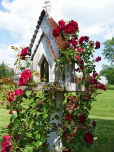 kapliczka w uprawie róż pnących