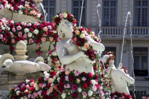 Róże królowe ogrodów