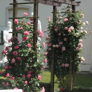 ozdobne wejście w duecie - Rosarium wraz z Candy Rain