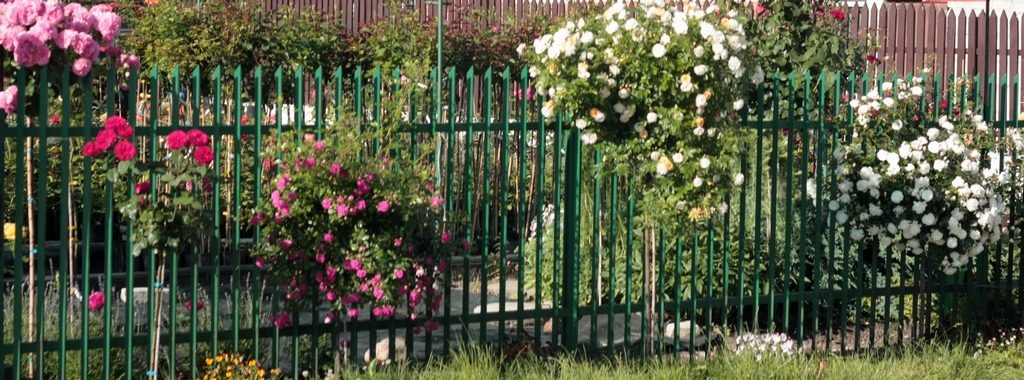 Ogrody ozdobione różami