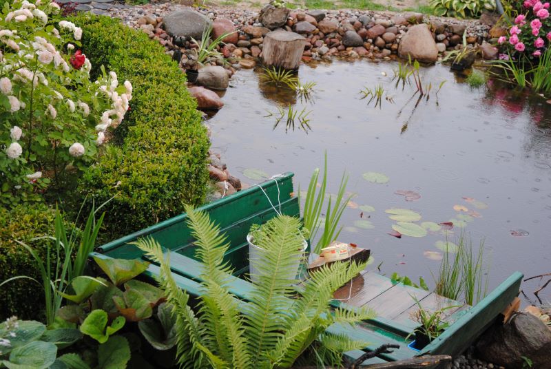 pastella przygląda się kroplom deszczu