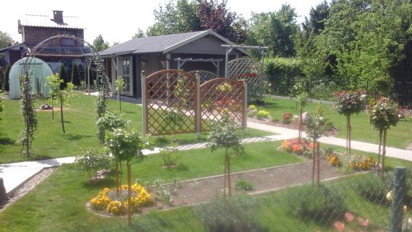 róże pienne oraz pnące