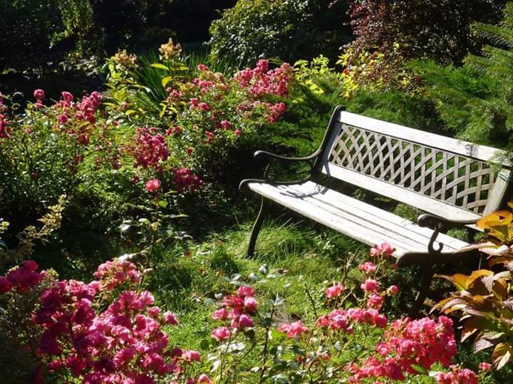 Z czym łączyć róże