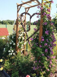 podpory by róże pięknie kwitły