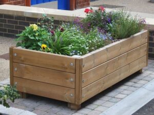 jak pielęgnować róże