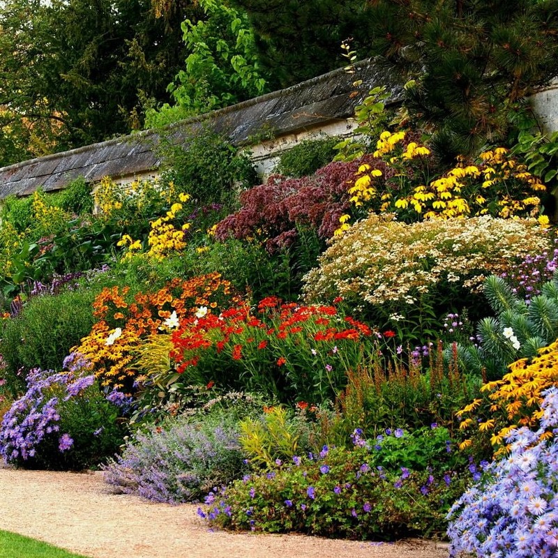 czego nie sadzić na skarpie