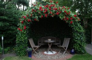 altanę w ogrodzie obsadzić