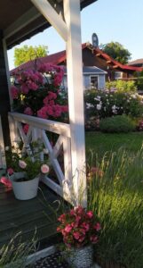 jak obsadzić w ogrodzie altanę