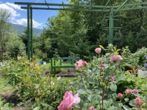 mała architektura altana