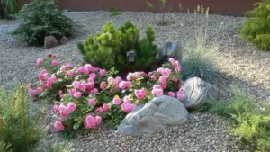 jak stworzyć skalniak z różami