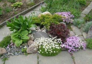 mały skalniak jak stworzyć