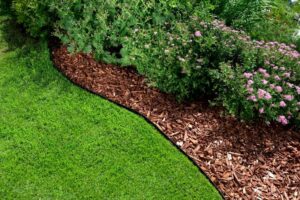 wapnowanie gleby ściółkowanie korą