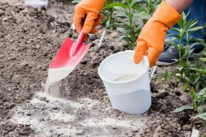 wapnowanie gleby wapno