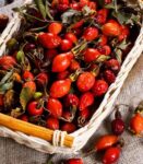 owoce róży jako dekoracja świąteczna