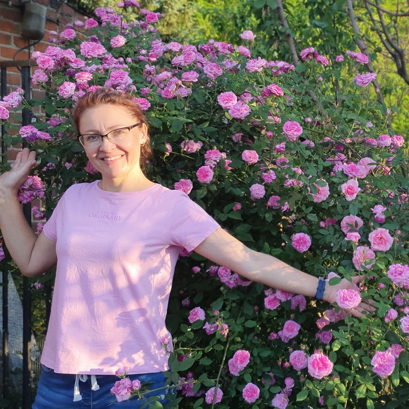 prywatność w ogrodzie