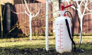 opryski profilaktyka opryski olejowe