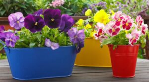 kwiecień w ogrodzie planer ogrodnika