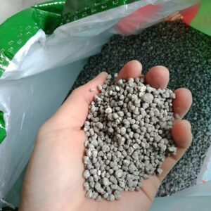 jak i kiedy nawozic roze wiosna