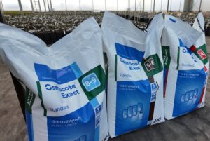 jak i kiedy nawozić