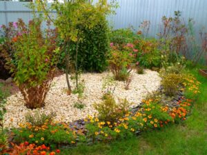 ściółkowanie róż