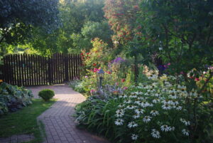 w ogrodzie upalny cień