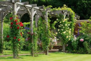 cień latem wskazany