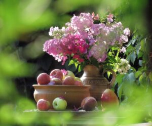 sierpień w ogrodzie