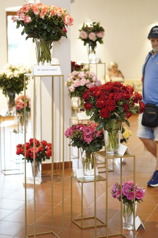 święto róż w Końskowoli