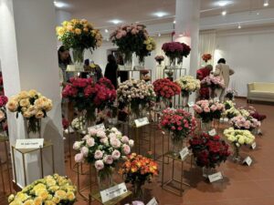 święto róż w Końskowoli