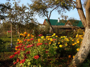 w ogrodzie wrzesień